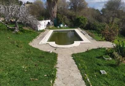 Alquiler de pisos en El Pelayo-Parques Naturales ...