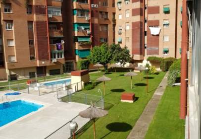 Alquiler de pisos en Torrejón De Ardoz, Madrid: casas y pisos